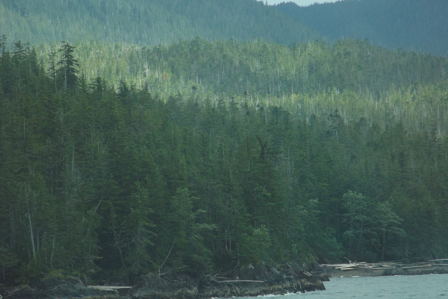 Inside Passage Landscape-4